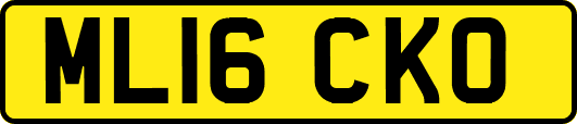 ML16CKO
