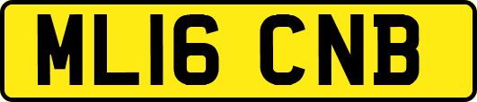 ML16CNB