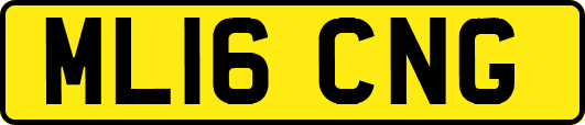 ML16CNG