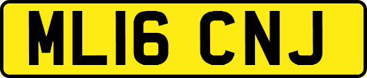 ML16CNJ