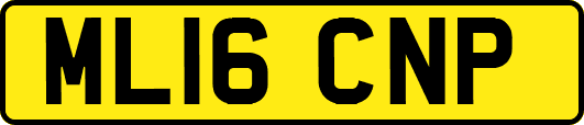 ML16CNP
