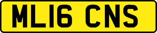ML16CNS