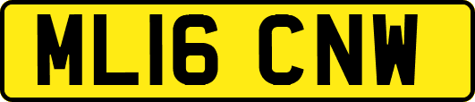 ML16CNW