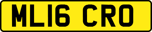 ML16CRO
