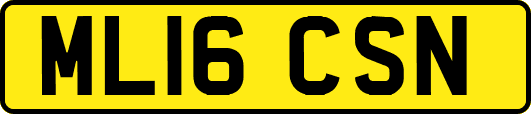 ML16CSN