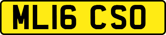 ML16CSO