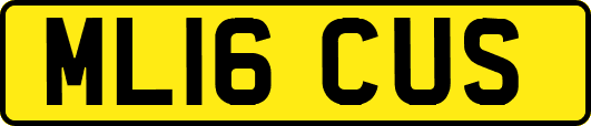 ML16CUS
