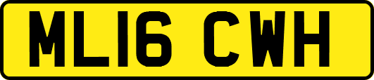 ML16CWH