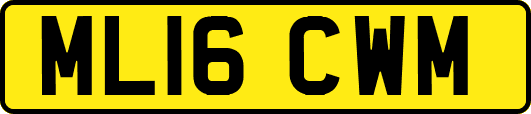 ML16CWM