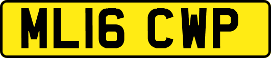 ML16CWP
