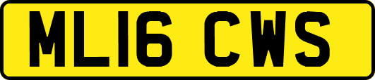 ML16CWS