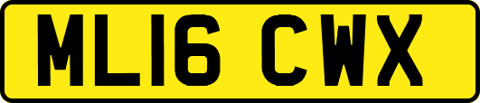 ML16CWX