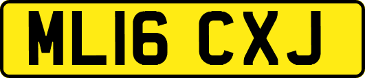 ML16CXJ