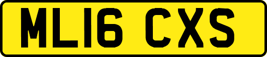 ML16CXS