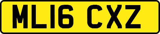 ML16CXZ