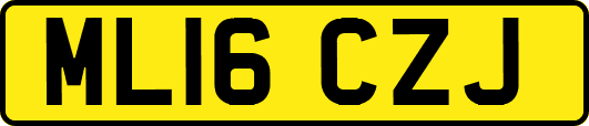 ML16CZJ