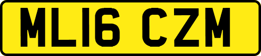 ML16CZM