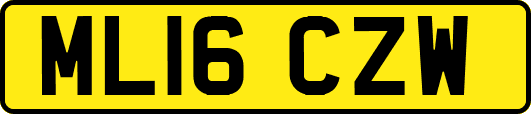 ML16CZW