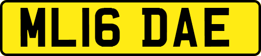 ML16DAE