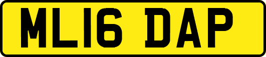 ML16DAP