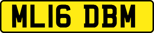 ML16DBM