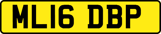 ML16DBP
