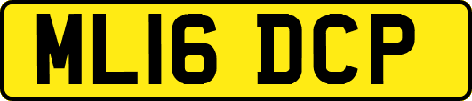 ML16DCP