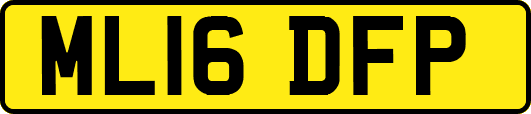 ML16DFP