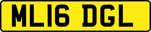 ML16DGL