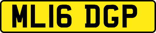 ML16DGP