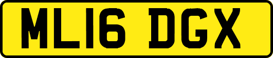 ML16DGX