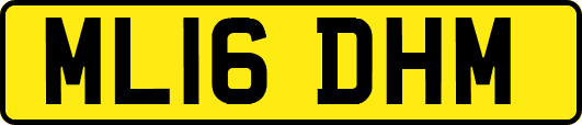 ML16DHM