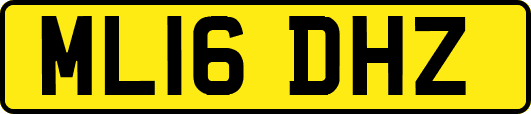 ML16DHZ