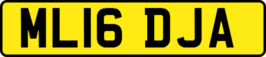 ML16DJA
