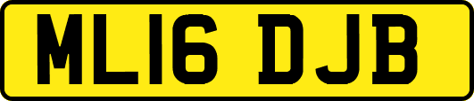ML16DJB