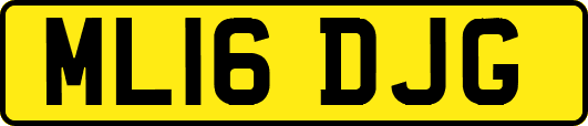 ML16DJG