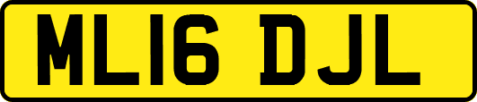 ML16DJL