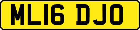 ML16DJO
