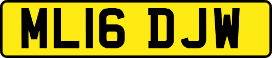 ML16DJW