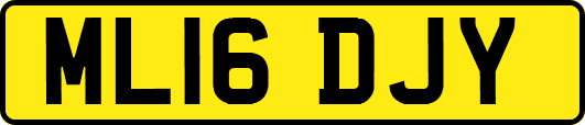 ML16DJY