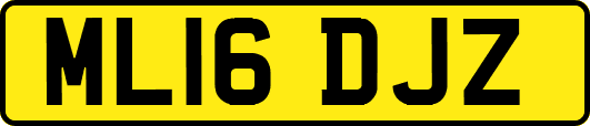 ML16DJZ