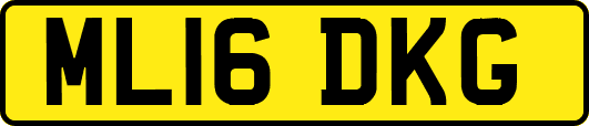 ML16DKG