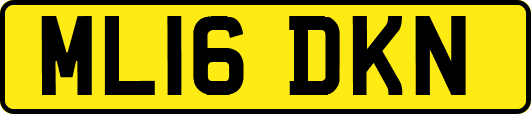 ML16DKN