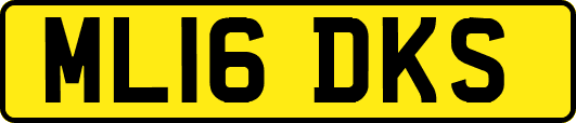 ML16DKS