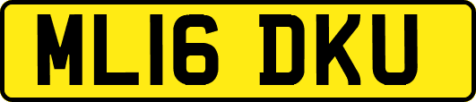 ML16DKU