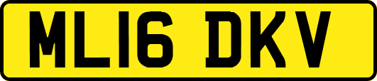 ML16DKV