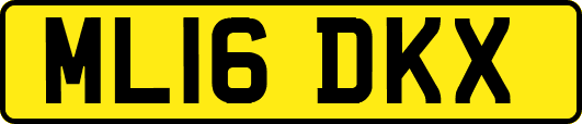 ML16DKX