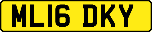 ML16DKY