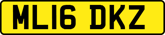 ML16DKZ