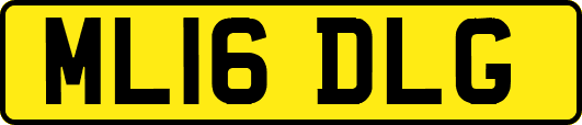 ML16DLG